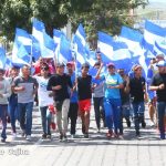Organización mundial de la salud
