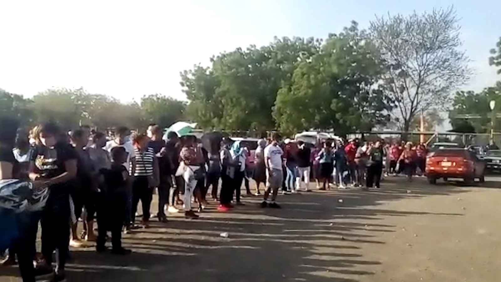 Filas en la MODELO