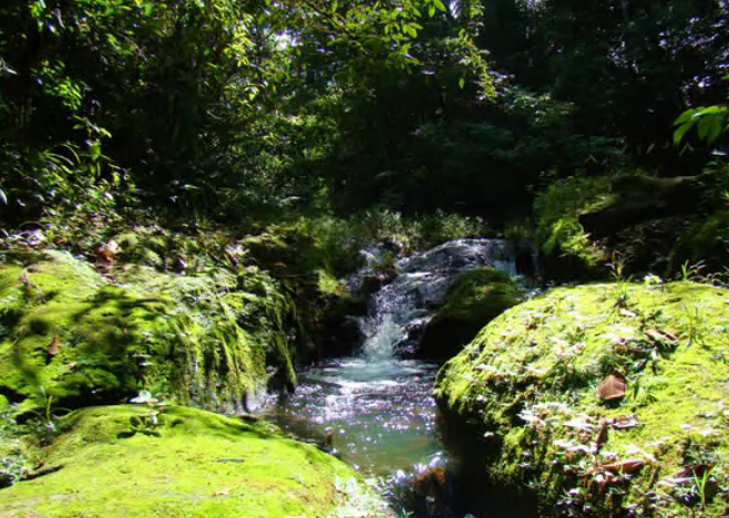 Reserva Privada Silvestre El Quebracho