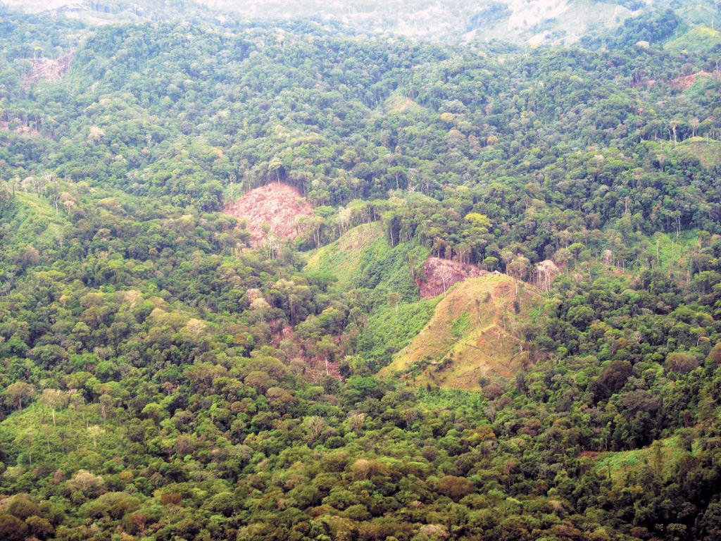 Reserva Indio Maíz