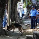 epidemia de robos Managua