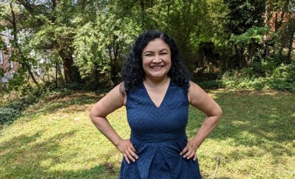 Ligia Gómez Urnas Abiertas