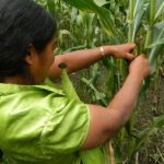 mujeres campesinas Oxfam