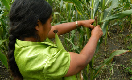 mujeres campesinas Oxfam