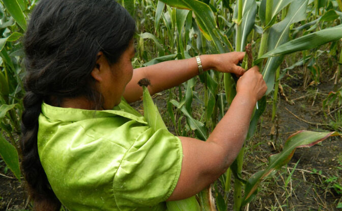mujeres campesinas Oxfam