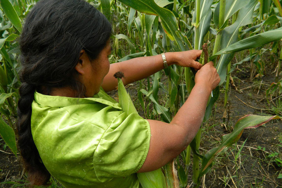 mujeres campesinas Oxfam