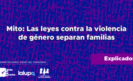 stop fake feministas