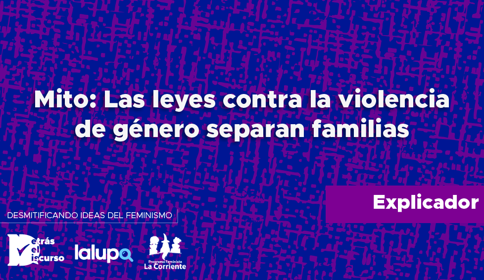 stop fake feministas