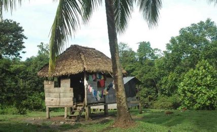 comunidades indigenas