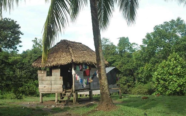 comunidades indigenas