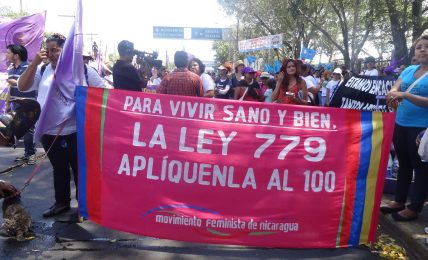 violencia Ley 779