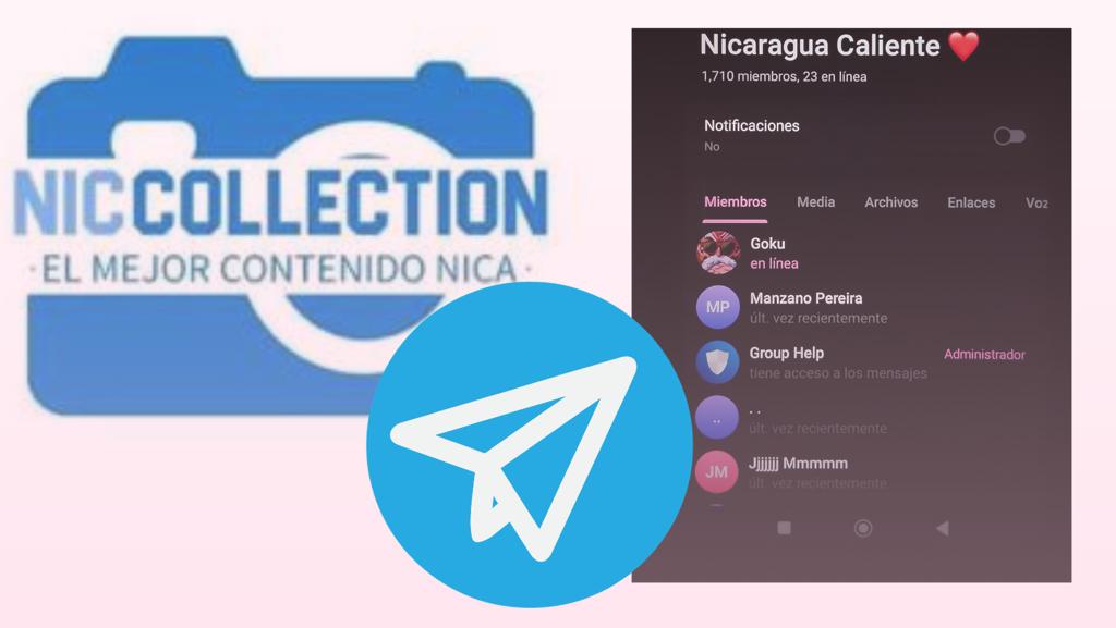 Nic Collection Catálogo es el grupo más grande encontrado por La Lupa en el que miles de hombres archivan y coleccionan fotos y videos de mujeres nicaragüenses de todo el país. Según expertas, este podría ser un grupo de crimen organizado debido a las prácticas ilícitas que realizan y al enriquecimiento económico que obtienen.