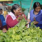 mujeres rurales inundaciones
